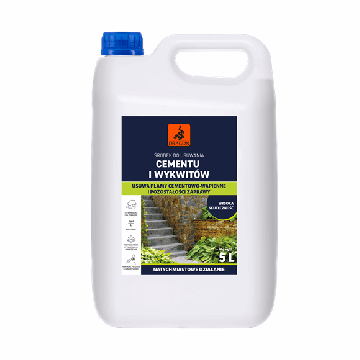 Środek do usuwania cementu i wykwitów 5L Dragon